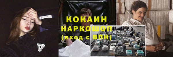 трава Осинники