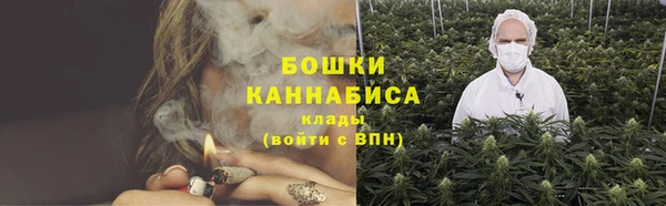 трава Осинники