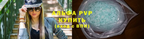 трава Осинники