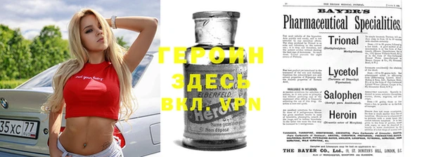 трава Осинники
