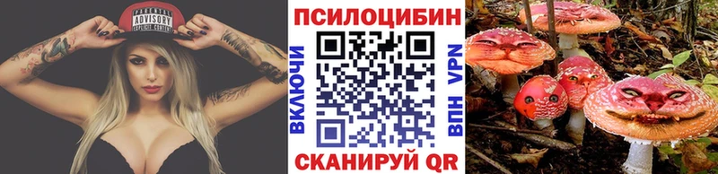 Псилоцибиновые грибы Cubensis  Багратионовск 